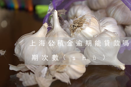 上海公積金逾期能貸款嗎(上海公積金貸款逾期次數(shù))