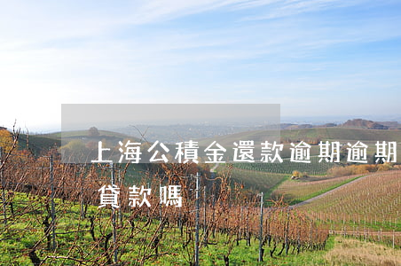 上海公積金還款逾期(逾期還清后可以公積金貸款嗎)