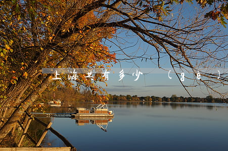 上海共有多少個(gè)律所(上海有多少律師)