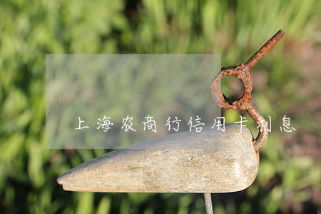上海农商行信用卡利息