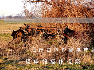 上海出口退稅逾期申報怎么辦-上海出口退稅申報操作視頻