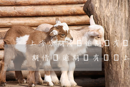 上海分期借貸逾期沒有還會上門嗎-上海分期借貸逾期沒有還會上門嗎怎么辦