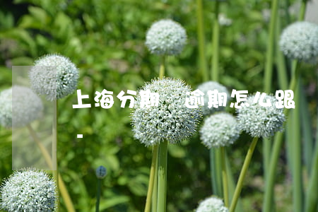 上海分期樂逾期怎么跟銀行協(xié)商-