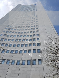 上海刑事律师事务所排名浦东(上海律师事务所前十名)