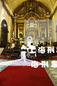 上海刑事律師事務(wù)所排名前十名(上海刑事案件律師排名)