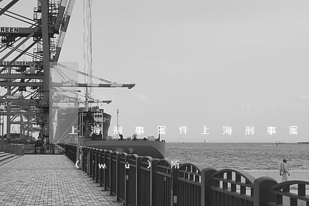 上海刑事案件(上海刑事案件最好的律師事務(wù)所)