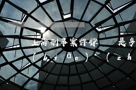 上海刑事案件律師費是多少(上海律師收費標(biāo)準(zhǔn)是多少)
