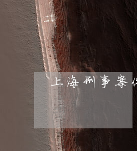 上海刑事案件最好的律師事務(wù)所