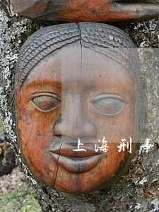 上海刑事案件查詢(上海市刑事案件查詢)