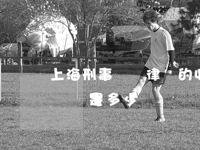 上海刑事訴訟律師的收費標準(上海律師收費標準是多少)