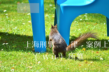 上海刑事辯護律師案例(上海刑事案件律師事務(wù)所推薦)