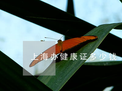 上海办健康证多少钱
