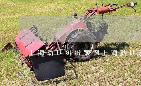 上海动迁纠纷案例(上海动迁房家庭内部纠纷)