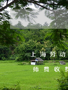 上海劳动仲裁律师费多少钱(上海劳动仲裁律师费收费标准)