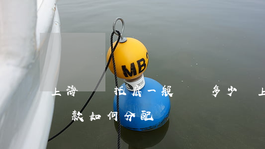 上海動遷托底一般補償多少錢(上海動遷房補償款如何分配)