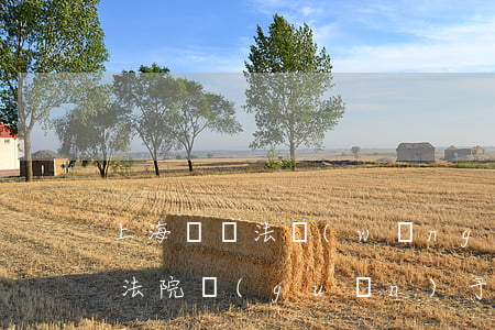 上海動遷法網(wǎng)(上海市高級人民法院關(guān)于動遷)
