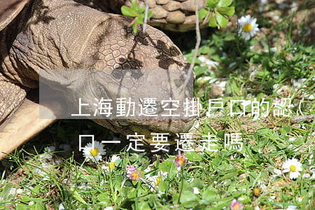 上海動遷空掛戶口的認(rèn)定(空掛戶口一定要遷走嗎)