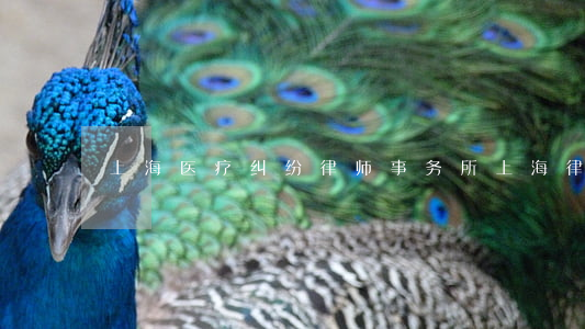 上海医疗纠纷律师事务所(上海律师律师)