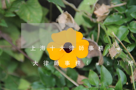 上海十大律師事務(wù)所比較好(上海十大律師事務(wù)所的排名有哪些)