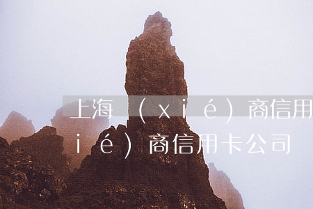 上海協(xié)商信用卡公司 上海協(xié)商信用卡公司