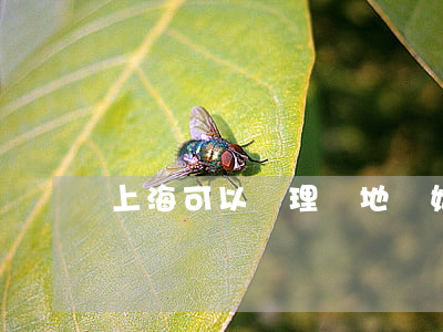 上?？梢赞k理異地離婚手續(xù)嗎