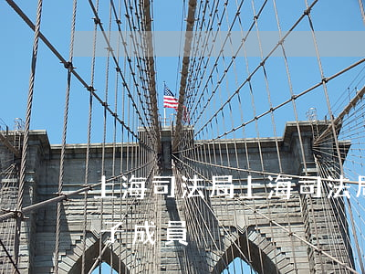 上海司法局(上海司法局領(lǐng)導班子成員)