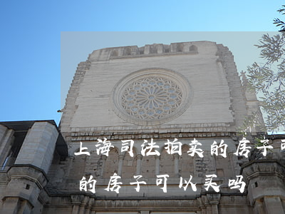 上海司法拍卖的房子可以买吗(上海司法拍卖的房子可以买吗)