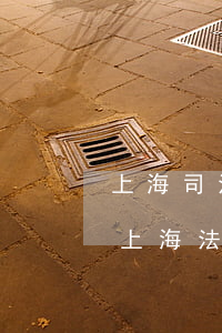 上海司法拍賣房可以轉(zhuǎn)賣嗎(上海法院拍賣的房子新規(guī)定)