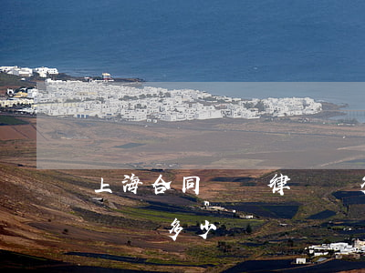 上海合同糾紛律師費多少錢(上海合同糾紛律師費多少錢)