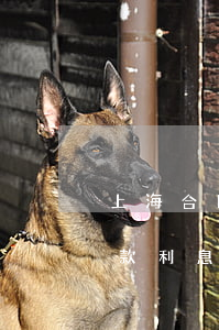 上海合同糾紛逾期一年利息(合同糾紛逾期付款利息法律規(guī)定)