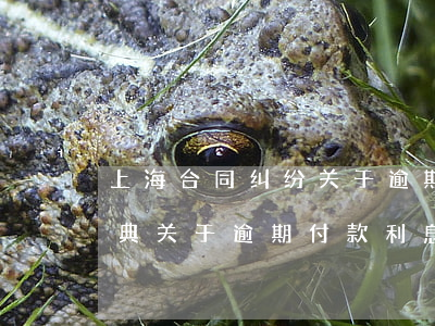上海合同纠纷关于逾期付款利息的规定(民法典关于逾期付款利息)