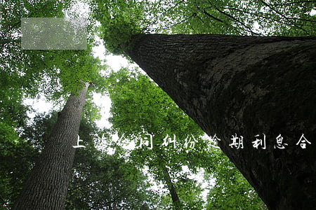 上海合同纠纷逾期利息(合同付款逾期利息)