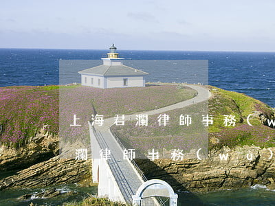 上海君瀾律師事務(wù)所厲害嗎(上海君瀾律師事務(wù)所律師名單)