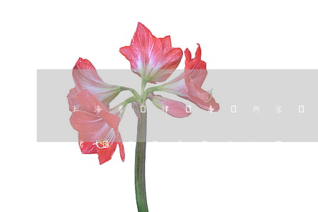 上海君瀾律師事務所官網(wǎng)(上海君瀾律師事務所官網(wǎng)st撫鋼)