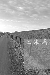 上海周俊律師(周俊武律師)
