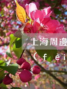 上海周邊離婚債務(wù)糾紛律師代理費(fèi)