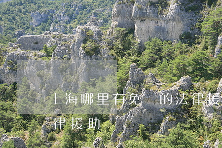 上海哪里有免費的法律援助(上海閔行免費法律援助)