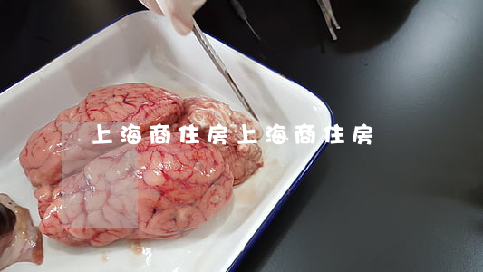 上海商住房(上海商住房樓盤)