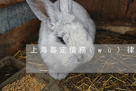 上海嘉定債務(wù)律師推薦