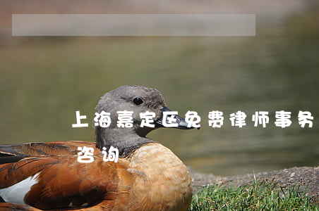 上海嘉定区免费律师事务所(嘉定区律师免费咨询)