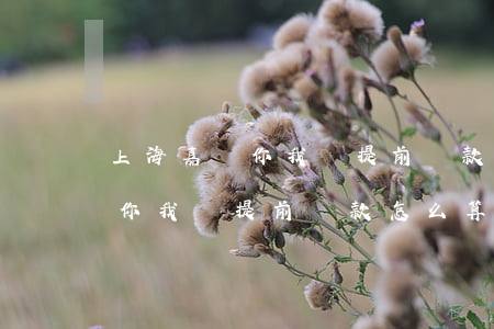 上海嘉銀你我貸提前還款怎么算-上海嘉銀你我貸提前還款怎么算還款金額