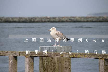 上海國浩律師事務(wù)所怎么樣(國浩律師事務(wù)所待遇)