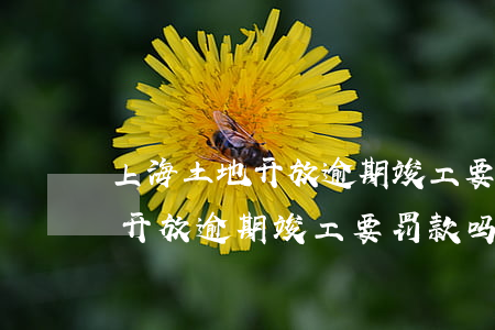 上海土地开放逾期竣工要罚款吗-上海土地开放逾期竣工要罚款吗多少钱