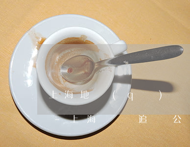 上海地區(qū)辦理債務追償律師哪個好-上海債務追討公司排名
