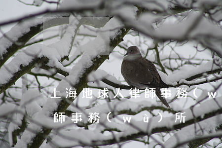 上海地球人律師事務(wù)所(上海禹眾律師事務(wù)所)