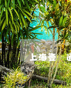 上海壹賬通貸款還不起