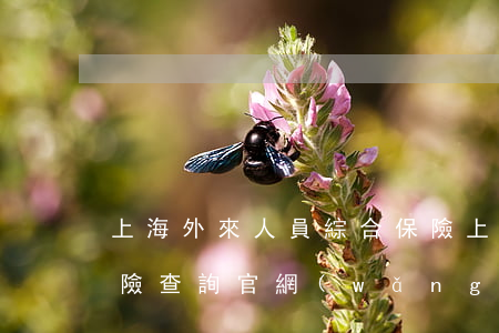 上海外來人員綜合保險，上海外來人員綜合保險查詢官網(wǎng)