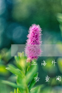 上海外来人员综合保险，上海外来人员综合保险查询官网