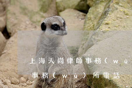 上海天尚律師事務(wù)所(上海天尚律師事務(wù)所電話)