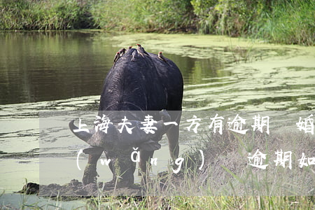 上海夫妻一方有逾期離婚的后果(夫妻一方網(wǎng)貸逾期如果離婚還影響嗎)